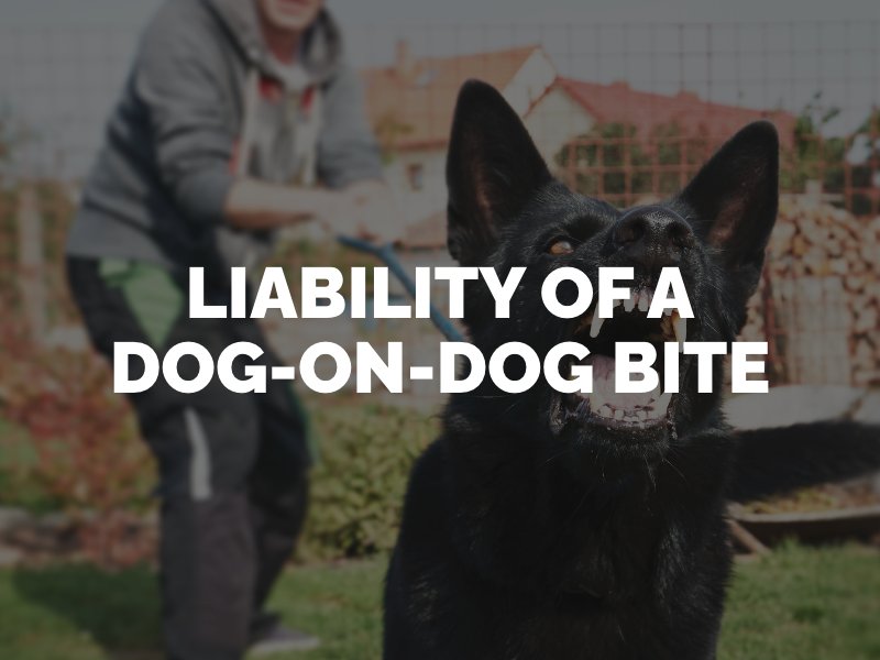 who is liable for a dog bite on another dog