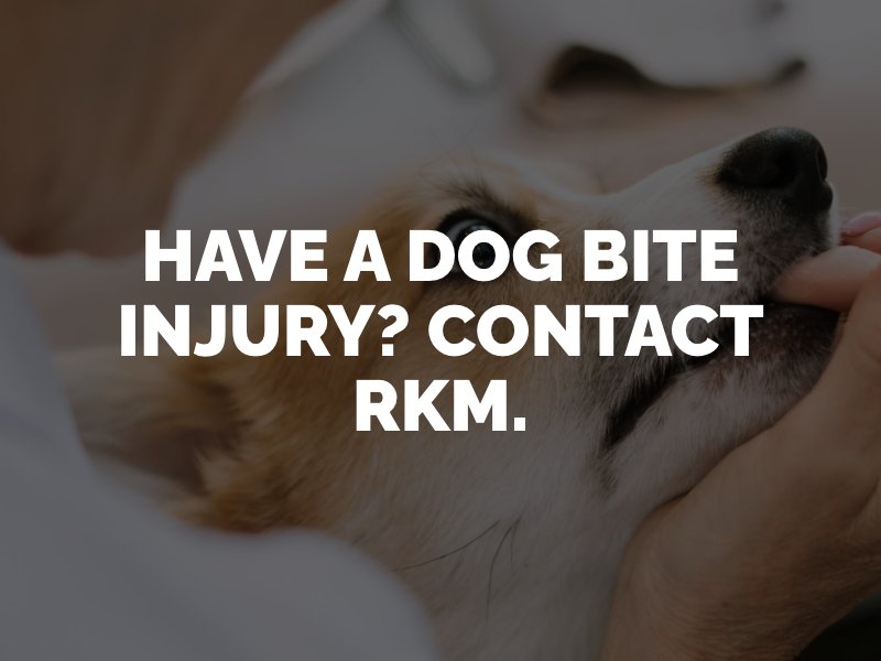 Ventura County Dog Bite Lawyer 